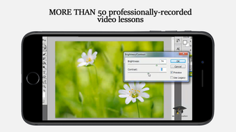Image 2 for Full Tutorial for Adobe P…