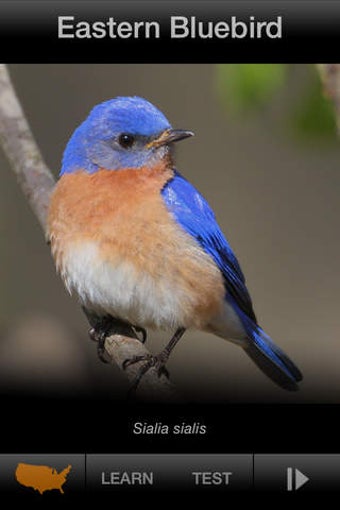 Image 0 for BIRD SCHOLAR Premium Edit…