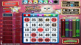 Image 1 for Glamour Puss Bingo Cats F…