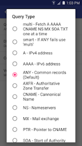 Imagen 3 para DNS Lookup - With Links