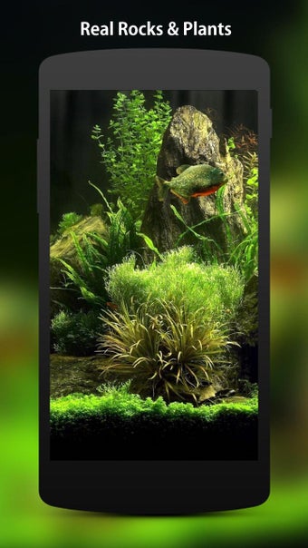 Imagen 2 para 3D Fish Aquarium Wallpape…