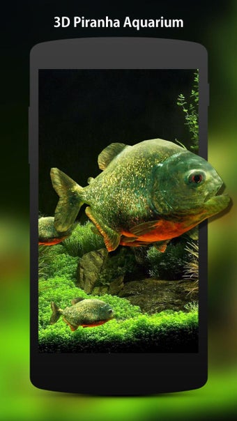 Imagen 3 para 3D Fish Aquarium Wallpape…