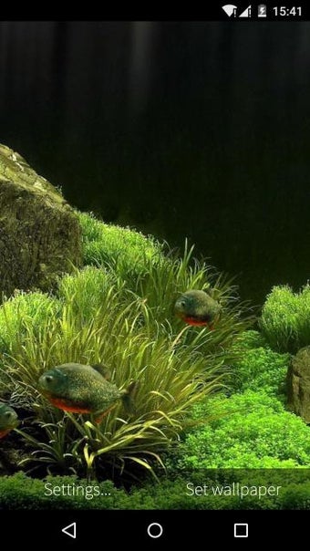 Imagen 1 para 3D Fish Aquarium Wallpape…