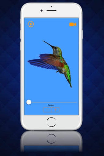Imagen 0 para Play Videos in Slow Motio…