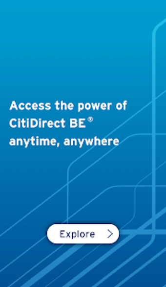 Image 3 for CitiDirect BE