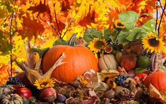 Imagen 2 para Thanksgiving Theme
