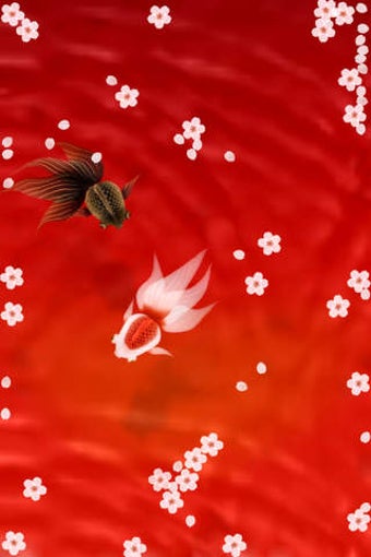 Image 0 for Wa Kingyo LE - Goldfish P…