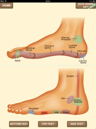 Image 0 for iPocket Foot Reflexology