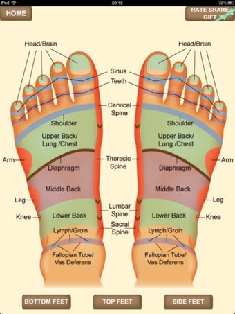 Image 7 for iPocket Foot Reflexology