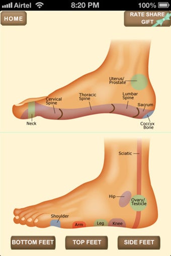 Image 1 for iPocket Foot Reflexology