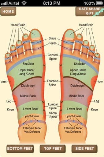 Image 4 for iPocket Foot Reflexology