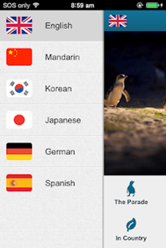 Imagen 3 para Penguin Parade Phillip Is…