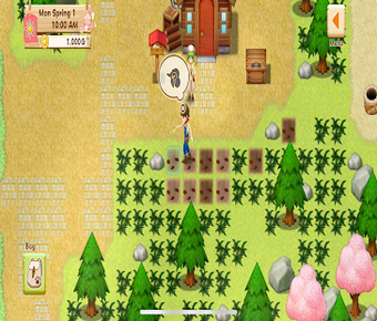 Imagen 0 para Harvest Moon Light of Hop…