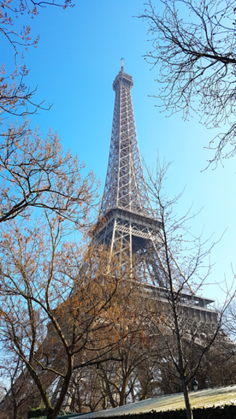 Image 1 for VR Paris High Up On Eiffe…