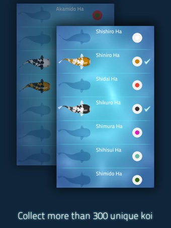 Image 3 for Zen Koi - Breed & Collect…