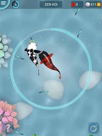 Image 2 for Zen Koi - Breed & Collect…