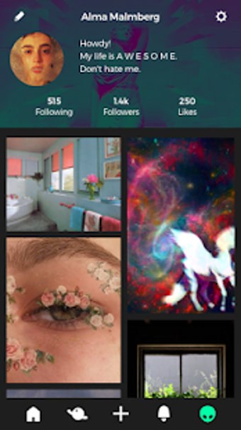 Imagen 1 para Groovo: Video Effects & G…