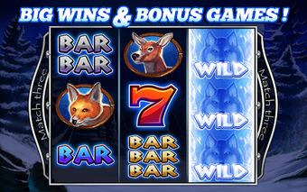 Image 2 for Slots Lucky Wolf Casino S…