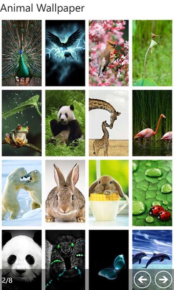 Image 2 for Animal Wallpaper for Wind…