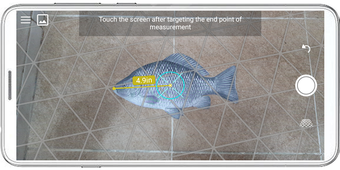 Image 1 for Fish ruler