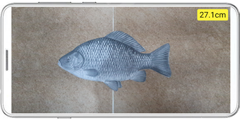 Image 0 for Fish ruler