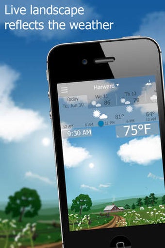 Image 0 for Precise Weather YoWindow