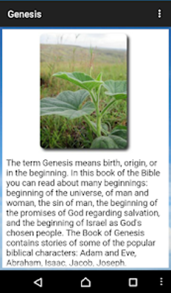Image 0 for Cebuano King James Bible