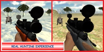 Imagen 1 para SNIPER BOAR HUNTER 3D