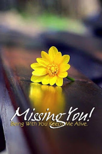 Imagen 3 para Good Night Flowers Images