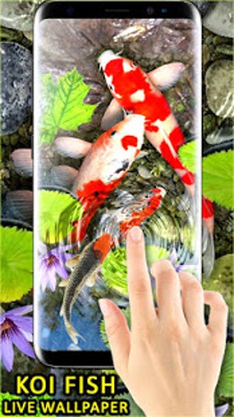 Imagen 2 para 3D Koi Fish Wallpaper HD …