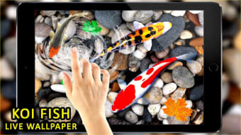 Image 1 for 3D Koi Fish Wallpaper HD …