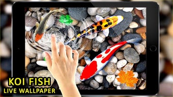 Imagen 3 para 3D Koi Fish Wallpaper HD …