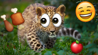 Image 2 for Emoji Photo Sticker Maker…