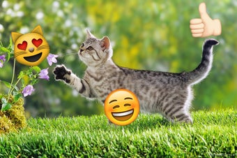 Image 0 for Emoji Photo Sticker Maker…
