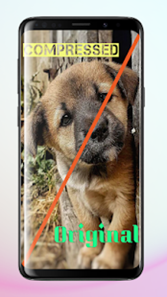 Image 1 for Multi Image compressor