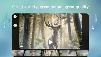 Image 0 for Rainy ~ Rain Nature Sound…