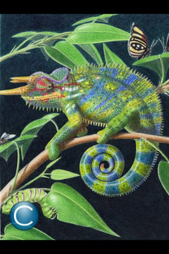 Image 0 for ABC Dino Xenegugeli Schwe…