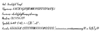 Image 0 for Beautiful Script