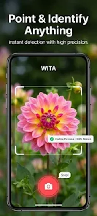 Image 0 for What Is This AI cam - WIT…