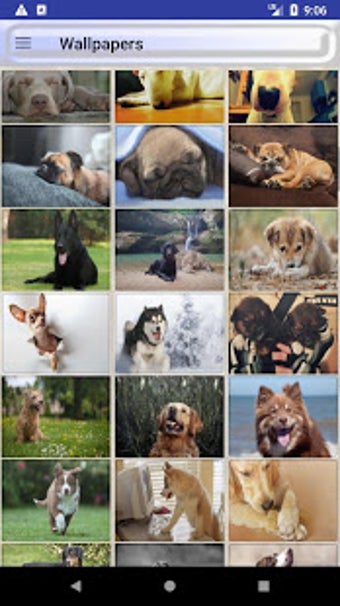 Image 0 for Funny Dog Bark Ringtones