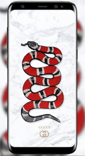 Imagen 3 para gucci wallpapers