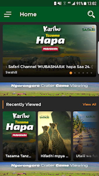 Imagen 0 para Tanzania Safari Channel