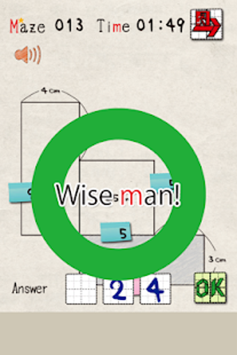 Imagen 1 para Area maze puzzle Full