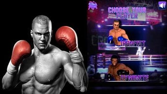 Imagen 1 para Real Boxing 3D for Window…