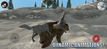 Image 0 for Arctic Wolf Survival Simu…