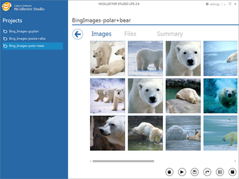 Imagen 0 para NCollector Studio Lite