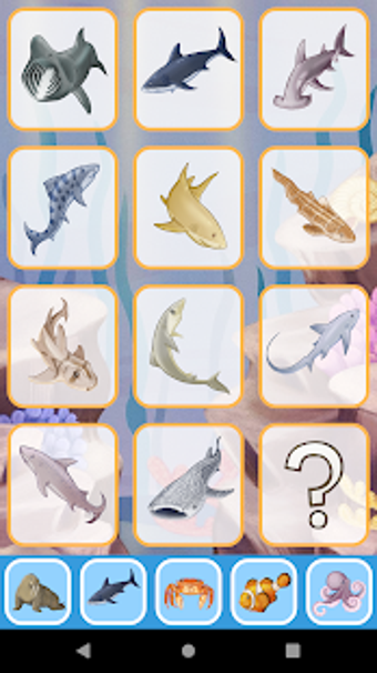 Image 2 for Sea Animals for toddler B…