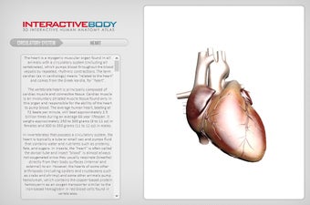 Imagen 0 para Interactive Body