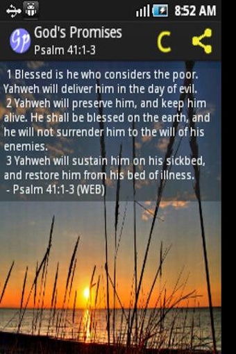 Image 3 for God's Promises in the Bib…
