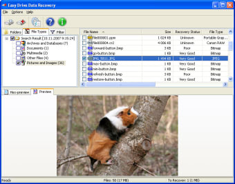 Image 0 for Easy Drive Data Recovery